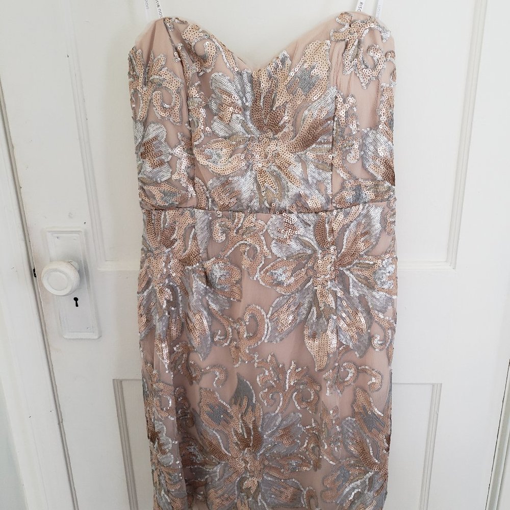 Beautiful Sequin Cocktail Dress